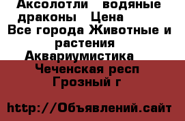 Аксолотли / водяные драконы › Цена ­ 500 - Все города Животные и растения » Аквариумистика   . Чеченская респ.,Грозный г.